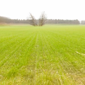 Landschaft...... Sabine Schröder